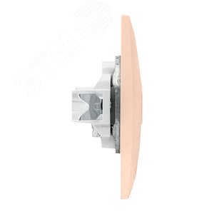 Валенсия розетка телевизионная 1-местная 75Ом 5-862МГц кремовая - фото 3