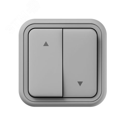 Выключатель, для жалюзи серый, ОП, винтовые клеммы серый, Бронто EKF - фото 2