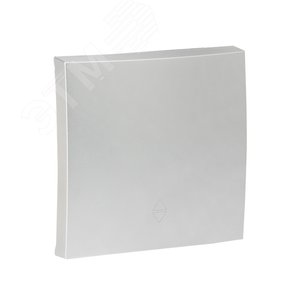 Валенсия лицевая панель выключателя 1-кл. 10А сталь - фото 1