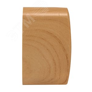 Розетка RJ-45 1-местная ОП Минск 1А 120В светлое дерево - фото 3