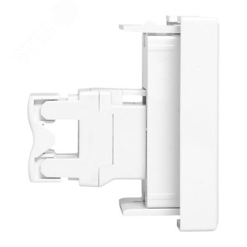 Розетка RJ45, категории 6 (ширина 2 модуля) - фото 3