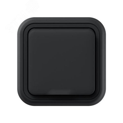 Розетка, одноместная, СП, винтовые клеммы антрацит, Бронто EKF - фото 2