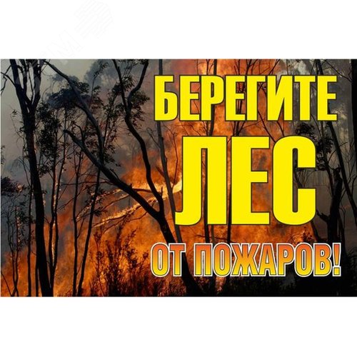 Изображение товара Знак ''Берегите лес от огня!'' 1200х800 мм (шт)