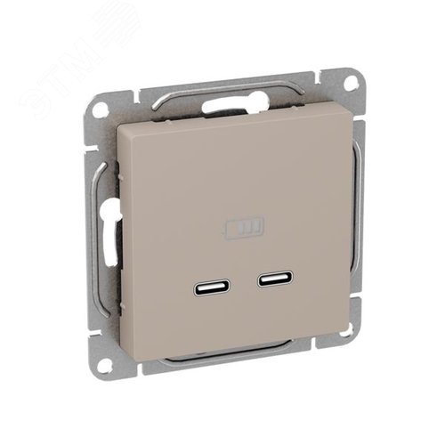 Механизм розетки USB-C - 2шт  кремовый Эпика EKF - фото 2