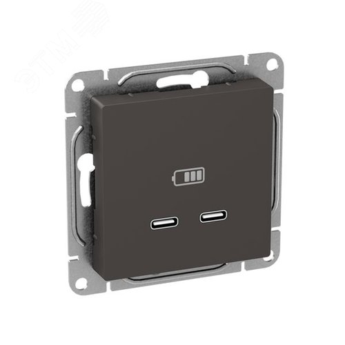 Механизм розетки USB-C - 2шт  мокко Эпика EKF - фото 3