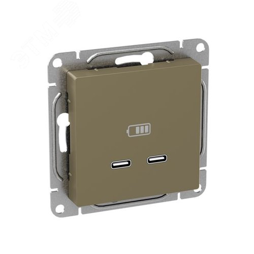 Механизм розетки USB-C - 2шт  шампань Эпика EKF - фото 2