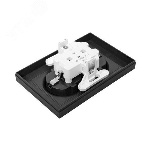 Эпика Механизм розетки двойной 16А с заземлением без шторок с рамкой черный EKF - фото 7