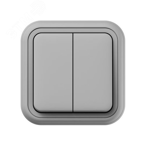 Выключатель, двухклавишный, ОП, автоматические клеммы серый, Бронто EKF - фото 4