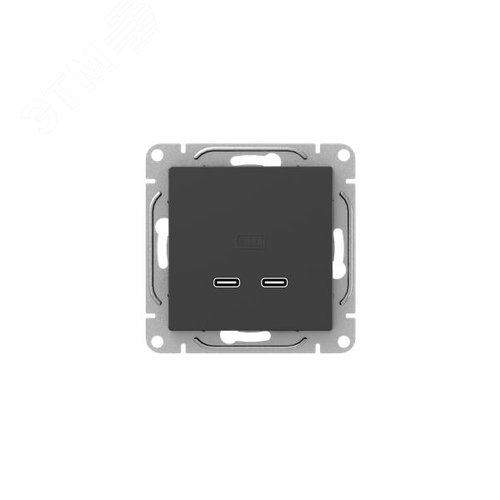 Эпика Механизм розетки USB-C - 2шт черный EKF - фото 1