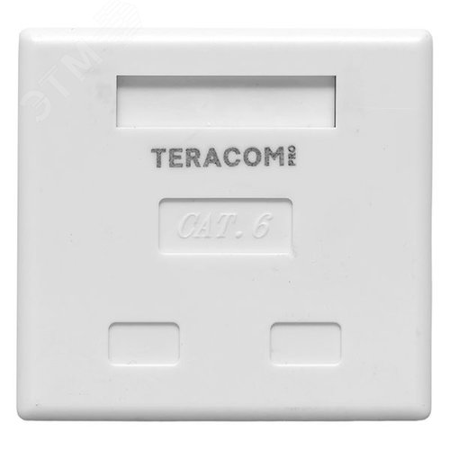 Розетка настенная TERACOM PRO Cat.6 неэкранированная 2 порта RJ-45 Dual IDC белая - фото 3
