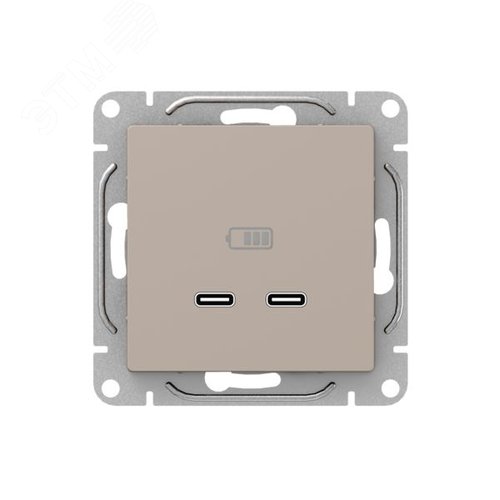 Механизм розетки USB-C - 2шт  кремовый Эпика EKF - фото 1