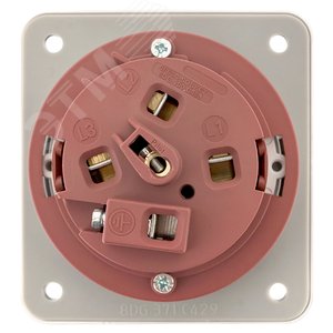 Розетка стационарная внутренняя 3342 3Р+РЕ 63А 380В IP67 PROxima - фото 4