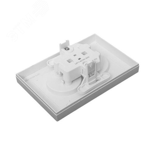 Эпика Механизм розетки двойной 16А без заземления без шторок с рамкой алюминий EKF - фото 7