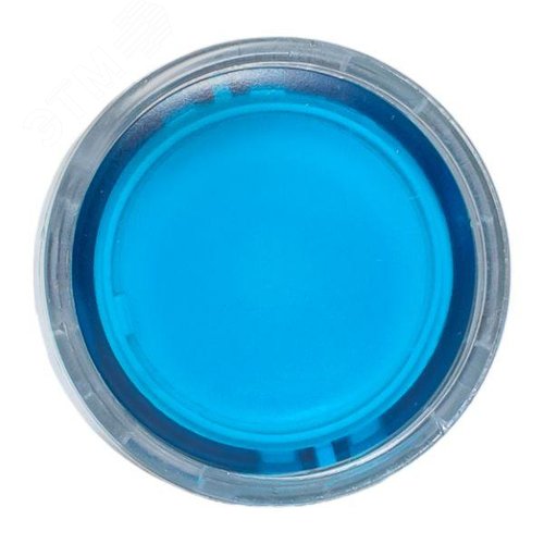 Механизм кнопки исполнительный XB4 синий плоский возвратный без фиксации с подсветкой PROxima - фото 2