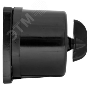 Выключатель пакетный ПВ 3-16 М3 кар. IP30 PROxima - фото 3