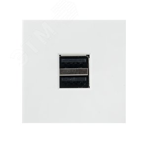 Розетка USB, сила тока 2.1 А (2 гнезда) без индикатора - фото 2