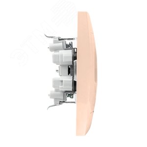 Валенсия розетка 2-местная б/з 10А кремовая с защ. штор. - фото 3