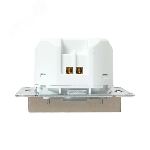 Механизм розетки USB-С  быстрая  шампань Эпика EKF - фото 7