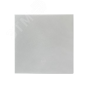 Валенсия лицевая панель выключателя 1-кл. 10А сталь - фото 2