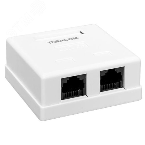 Розетка настенная TERACOM Cat.5E неэкранированная 2 порта RJ-45 Dual IDC белая - фото 1