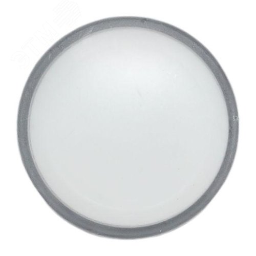 Линза для лампы белая XB4 PROxima - фото 2