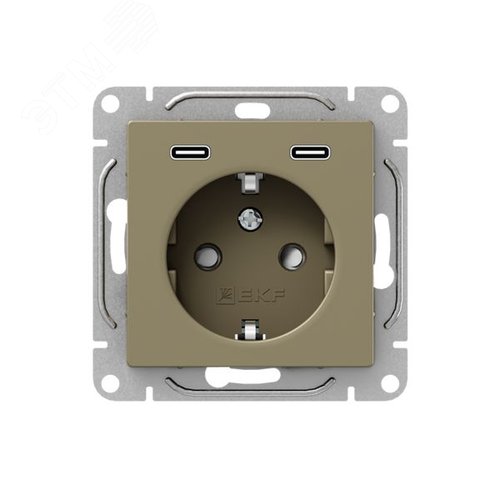 Механизм розетки с USB-C - 2шт  16А  с заземлением  со шторками  шампань Эпика EKF - фото 1