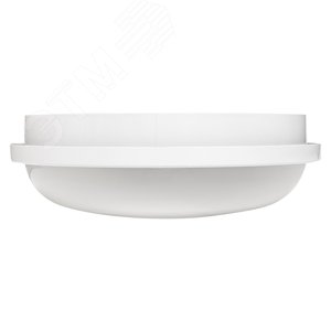 Светильник светодиодный ЖКХ круг ДПО-2007 25Вт 4000K IP65 PROxima - фото 2