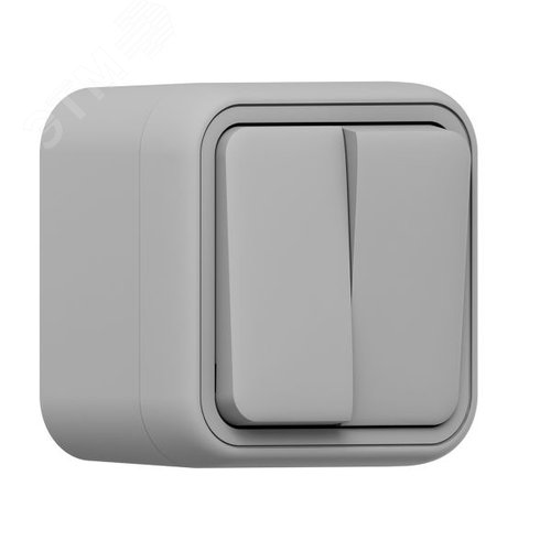 Выключатель, двухклавишный, ОП, автоматические клеммы серый, Бронто EKF - фото 1