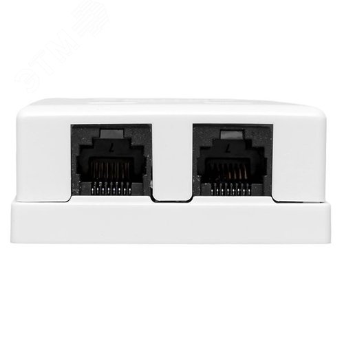 Розетка настенная TERACOM PRO Cat.6 неэкранированная 2 порта RJ-45 Dual IDC белая - фото 2