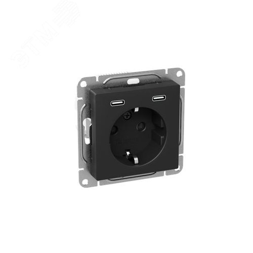Эпика Механизм розетки с USB-C - 2шт 16А с заземлением со шторками черный EKF - фото 2
