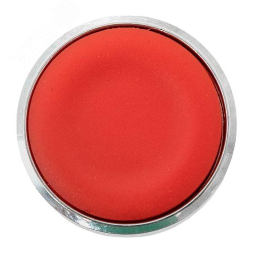 Исполнительный механизм кнопки XB4 красный плоский возвратный без фиксации, без подсветки IP65 - фото 2