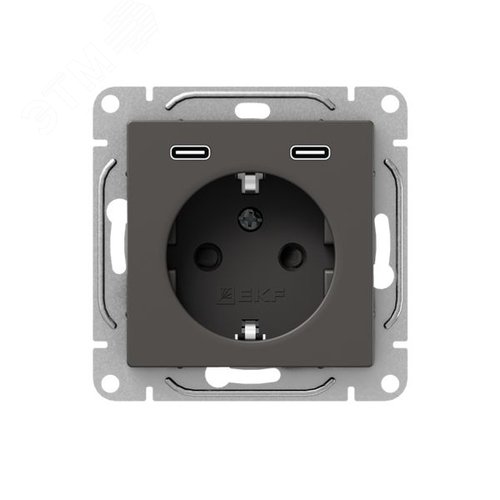 Механизм розетки с USB-C - 2шт  16А  с заземлением  со шторками  мокко Эпика EKF - фото 1