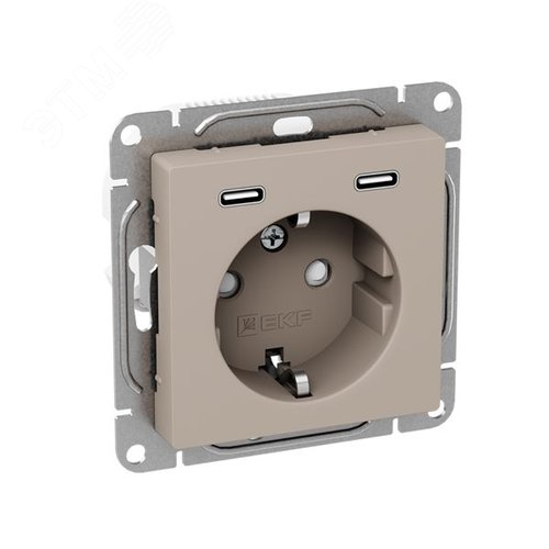 Механизм розетки с USB-C - 2шт  16А  с заземлением  со шторками  кремовый Эпика EKF - фото 2