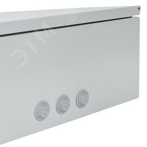 Щит с монтажной панелью ЩМПг-60.60.25 IP54 PROxima - фото 2