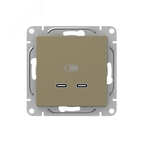 Механизм розетки USB-C - 2шт  шампань Эпика EKF - фото 1