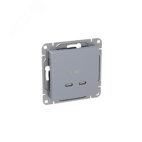 Эпика Механизм розетки USB-C - 2шт алюминий EKF - фото 2