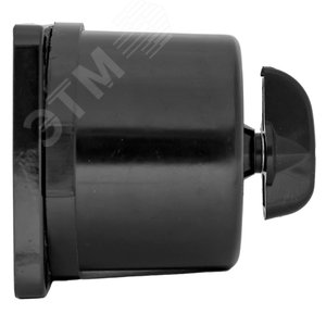 Выключатель пакетный ПВ 2-16 М3 кар. IP30 PROxima - фото 3