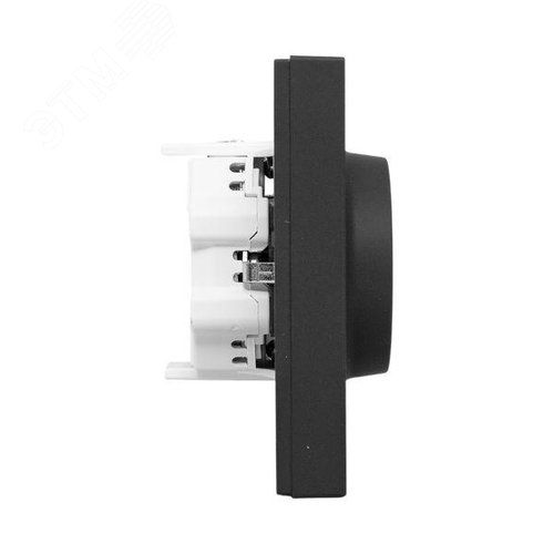 Эпика Механизм розетки двойной 16А с заземлением со шторками с рамкой черный EKF - фото 3