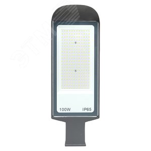 Светильник светодиодный консольный ДКУ-8003-Д 100Вт 5000К IP65 PROxima - фото 2