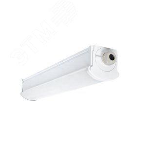 Изображение товара Светильник светодиодный пылевлагозащищенный ДСП-2002 18Вт 6500К IP66 600мм PROxima (шт)