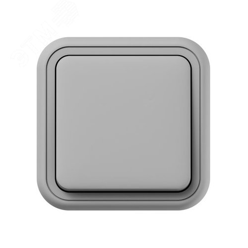 Выключатель, одноклавишный, кнопочный, ОП, автоматические клеммы серый, Бронто EKF - фото 2