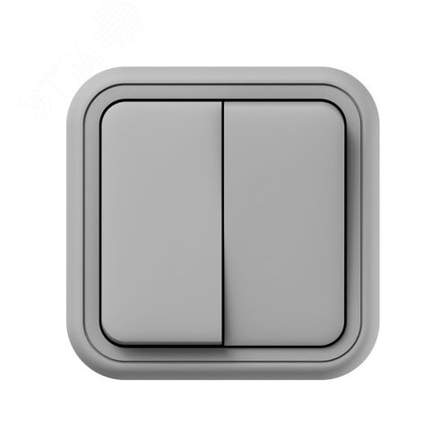 Выключатель, двухклавишный, ОП, автоматические клеммы серый, Бронто EKF - фото 2