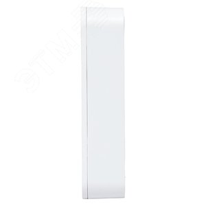 Умный датчик протечки Zigbee Connect - фото 6