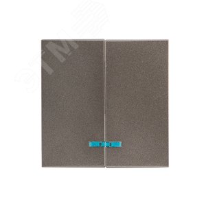 Валенсия лицевая панель выключателя 2-кл. с индикатором 10А графит - фото 1