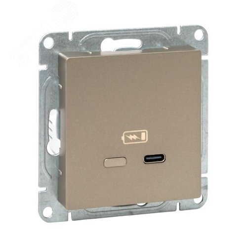 Механизм розетки USB-С  быстрая  шампань Эпика EKF - фото 1