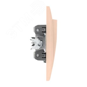 Валенсия выключатель 1-кл. 10А кремовый - фото 3