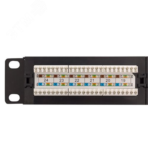 Патч-панель TERACOM PRO 19'' Cat.6 1U неэкранированная UTP 24 порта RJ-45 Dual IDC - фото 4