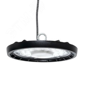 Светильник светодиодный промышленный для высоких пролетов ДСП-1101 100Вт 6500К IP65 PROxima - фото 4