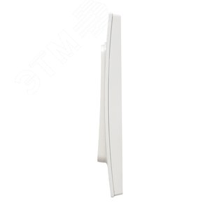 Умный беспроводной выключатель Стокгольм 2-кл. EKF Сonnect - фото 5