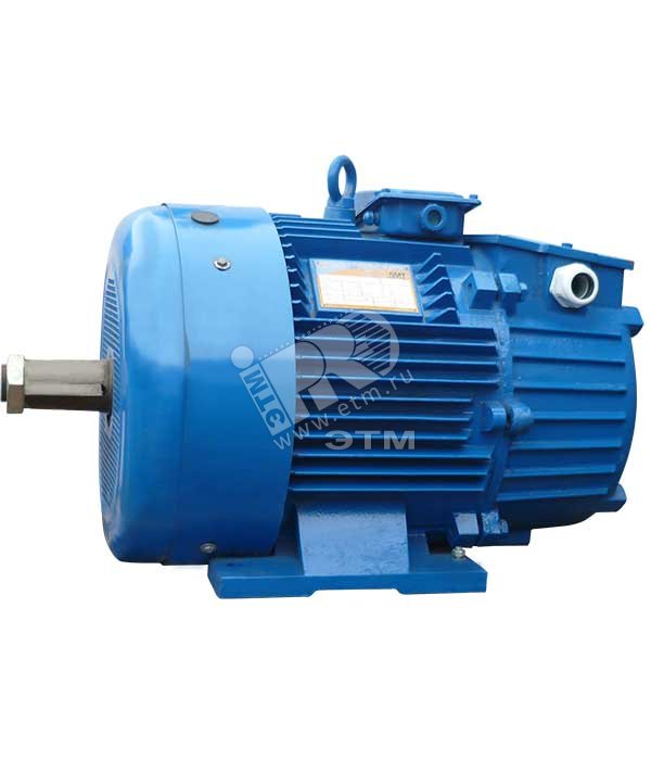 Изображение товара Электродвигатель крановый 5MTH 225 М8 30/723 IM1003 30 кВт IP54